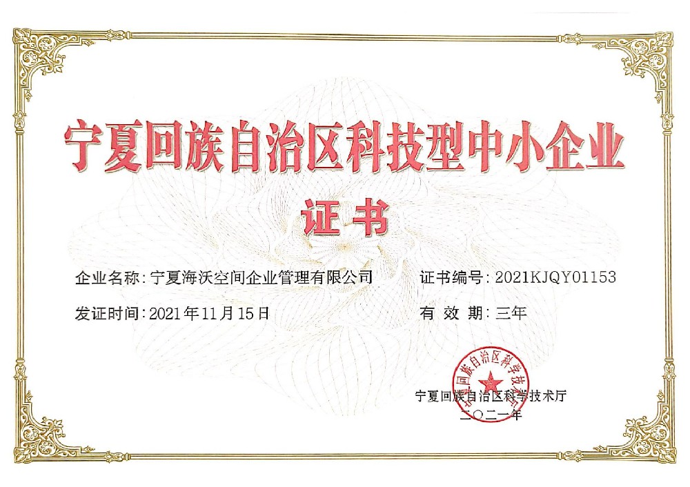 科技型中小企業(yè)